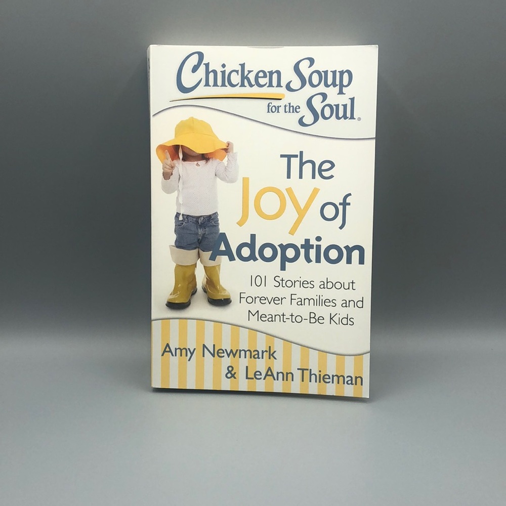 Chicken soup for the soul the joy of adoption
